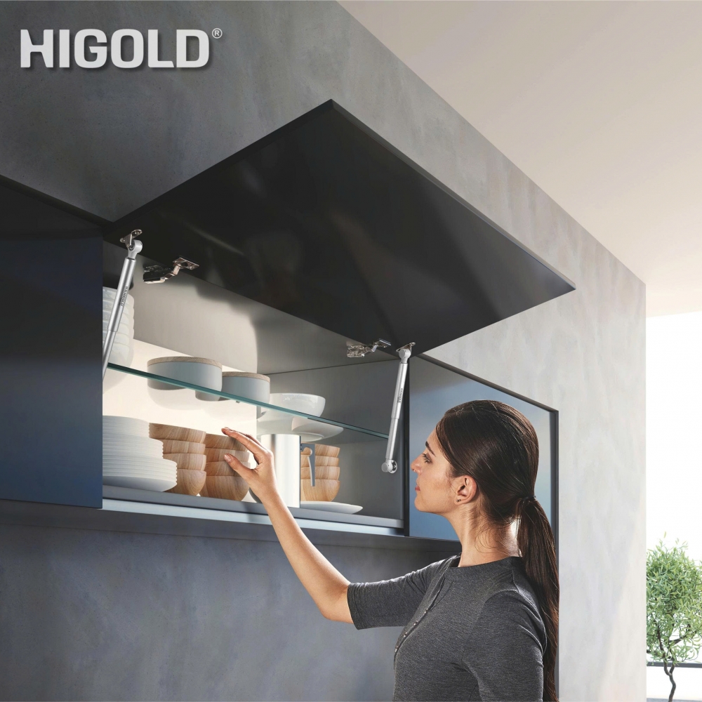 CÔNG TY TNHH HIGOLD HARDWARE VIỆT NAM 